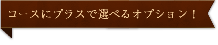 選べるオプション！